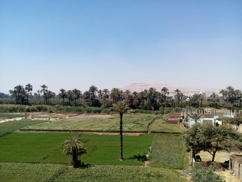 Luxor Palace Apartments Exterior foto